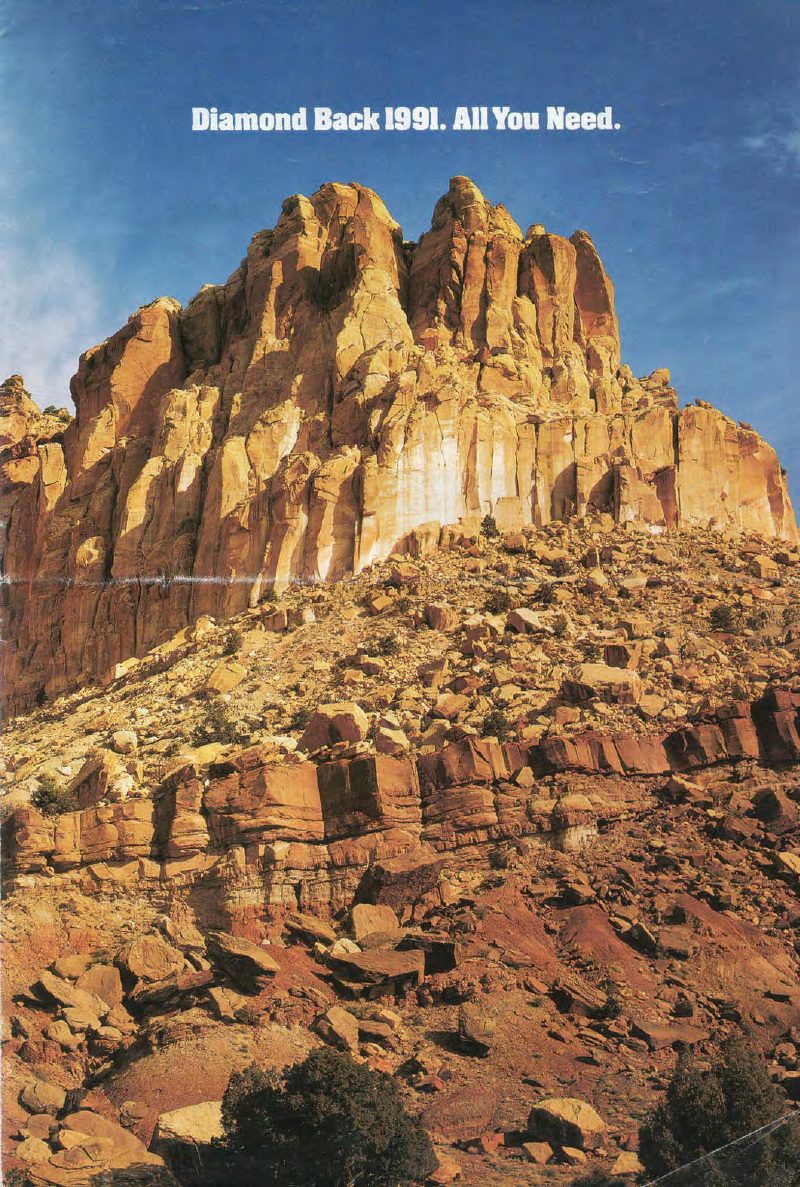 Diamondback 1991 catalog cover