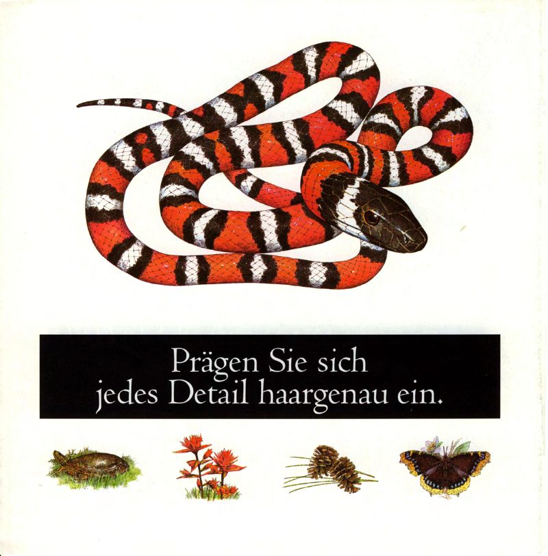 Mongoose 1994 catalog cover